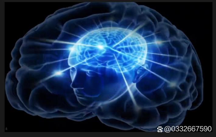 某顶流男星被曝私下性格与荧幕形象截然相反，多名工作人员联名发声